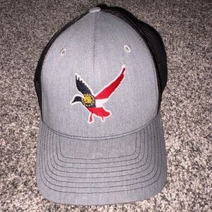 Dixie Fowl Company LLC Georgia Mallard
Adjustable Cap / Hat